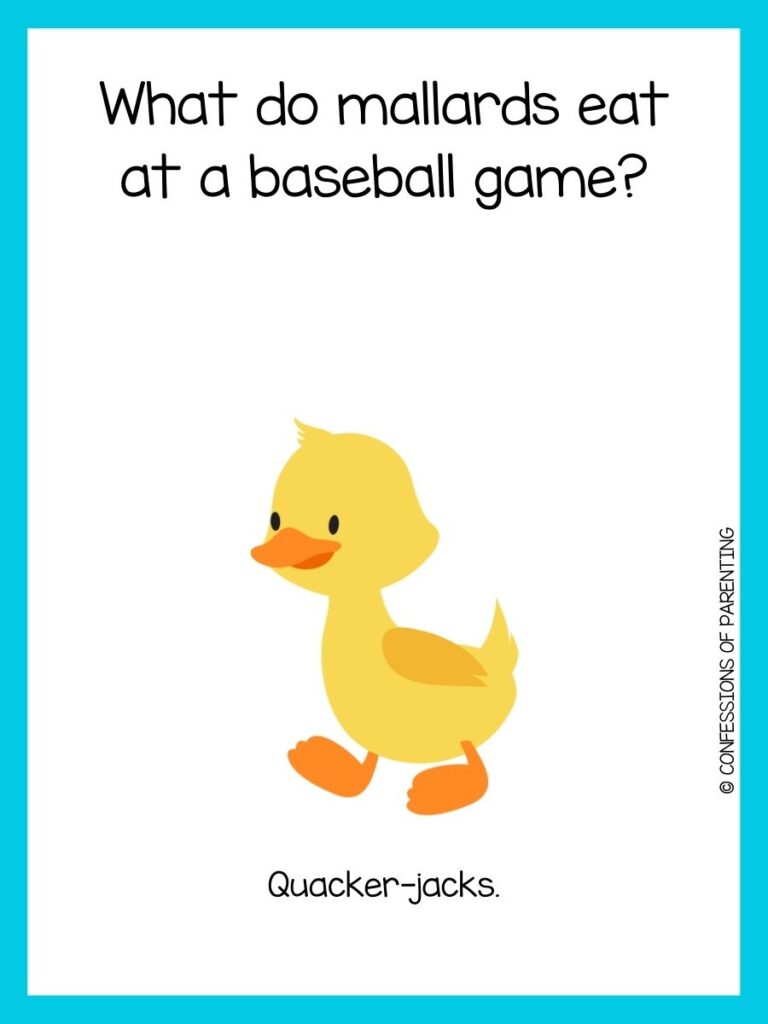 Animal sports joke on white background with blue border and yellow duck