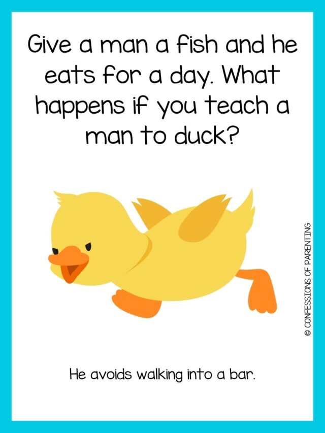 110 Duck Jokes That Make You Quack Up 110 Duck Jokes That Make You Quack Up