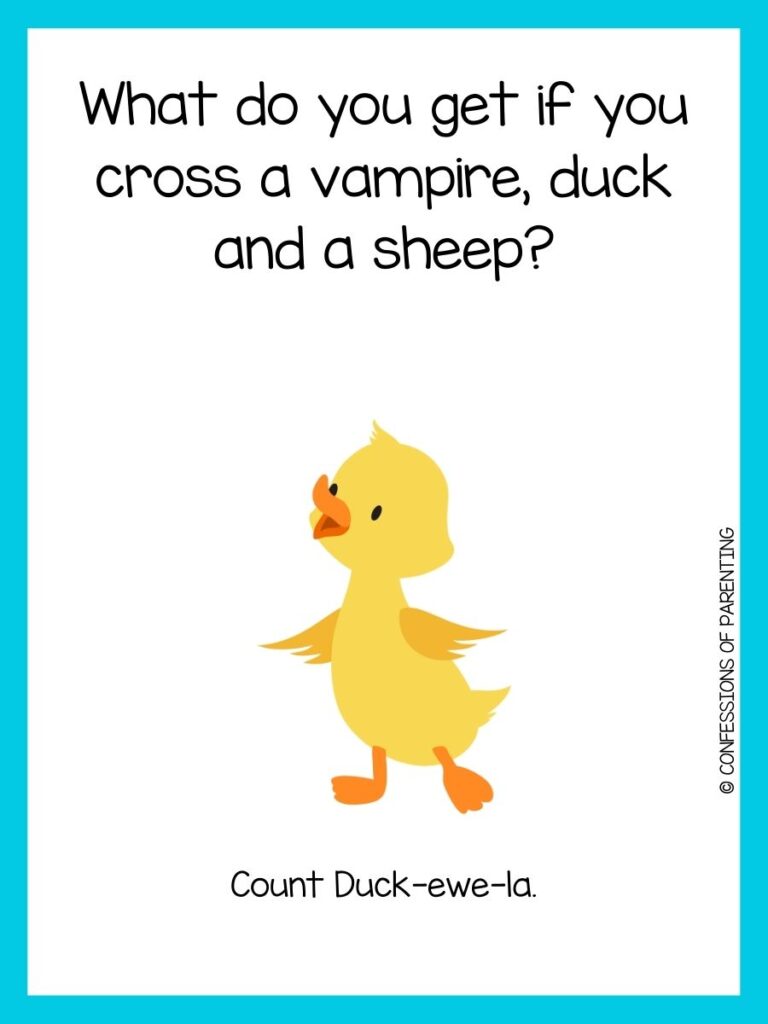 Halloween animal joke on white background with blue border and yellow duck