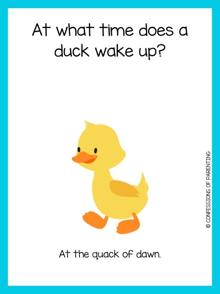 Yellow duckling on white background with blue border and duck joke