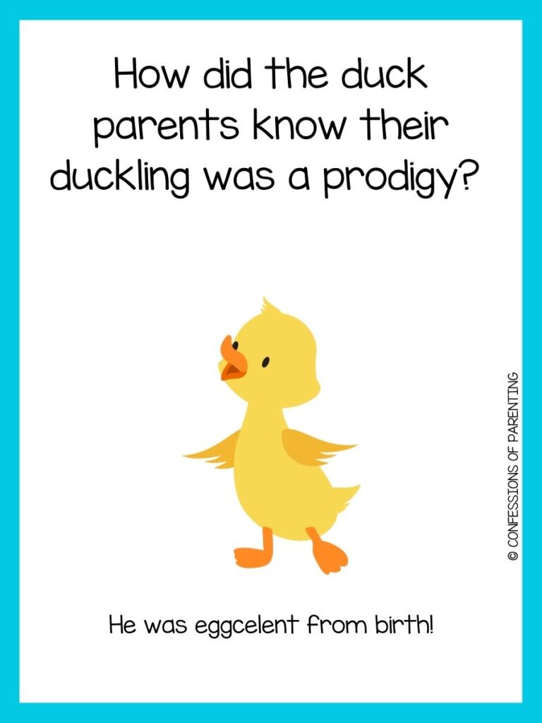 Animal joke on white background with blue border and yellow duck