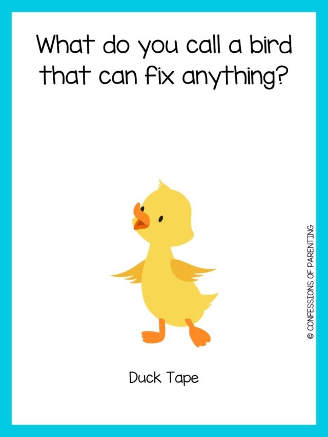 110 Duck Jokes That Make You Quack Up!