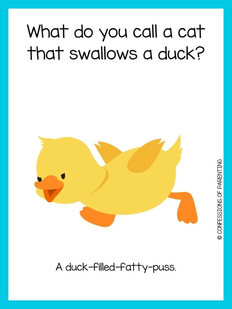 Animal joke on white background with blue border and picture of a duckling