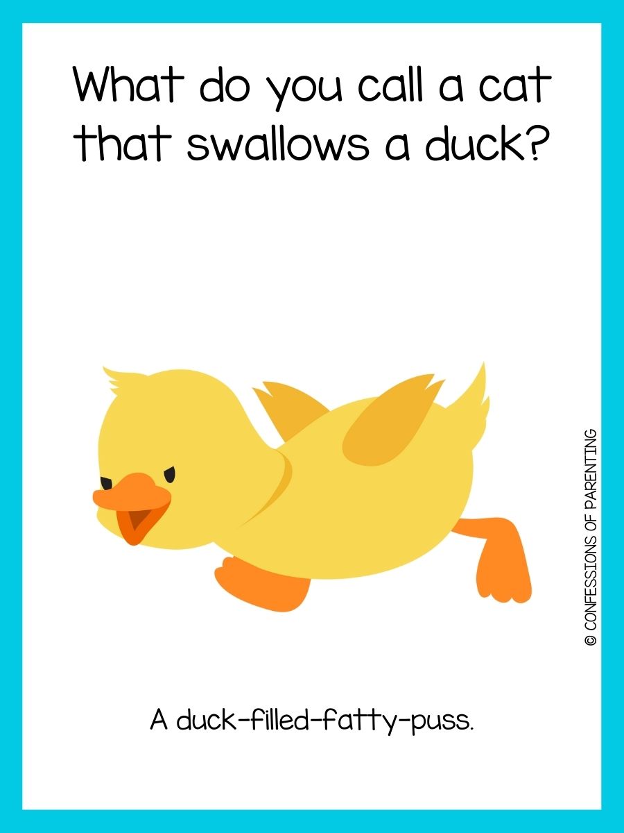 110 Duck Jokes That Make You Quack Up!