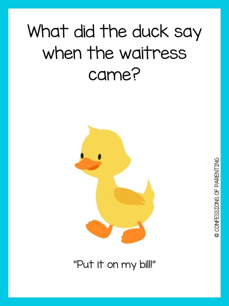 Animal joke on white background with blue border and picture of walking duck