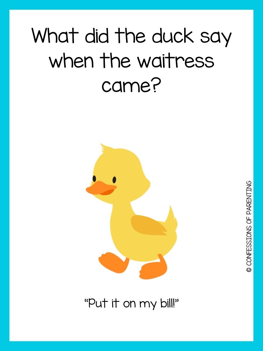 110-duck-jokes-that-make-you-quack-up