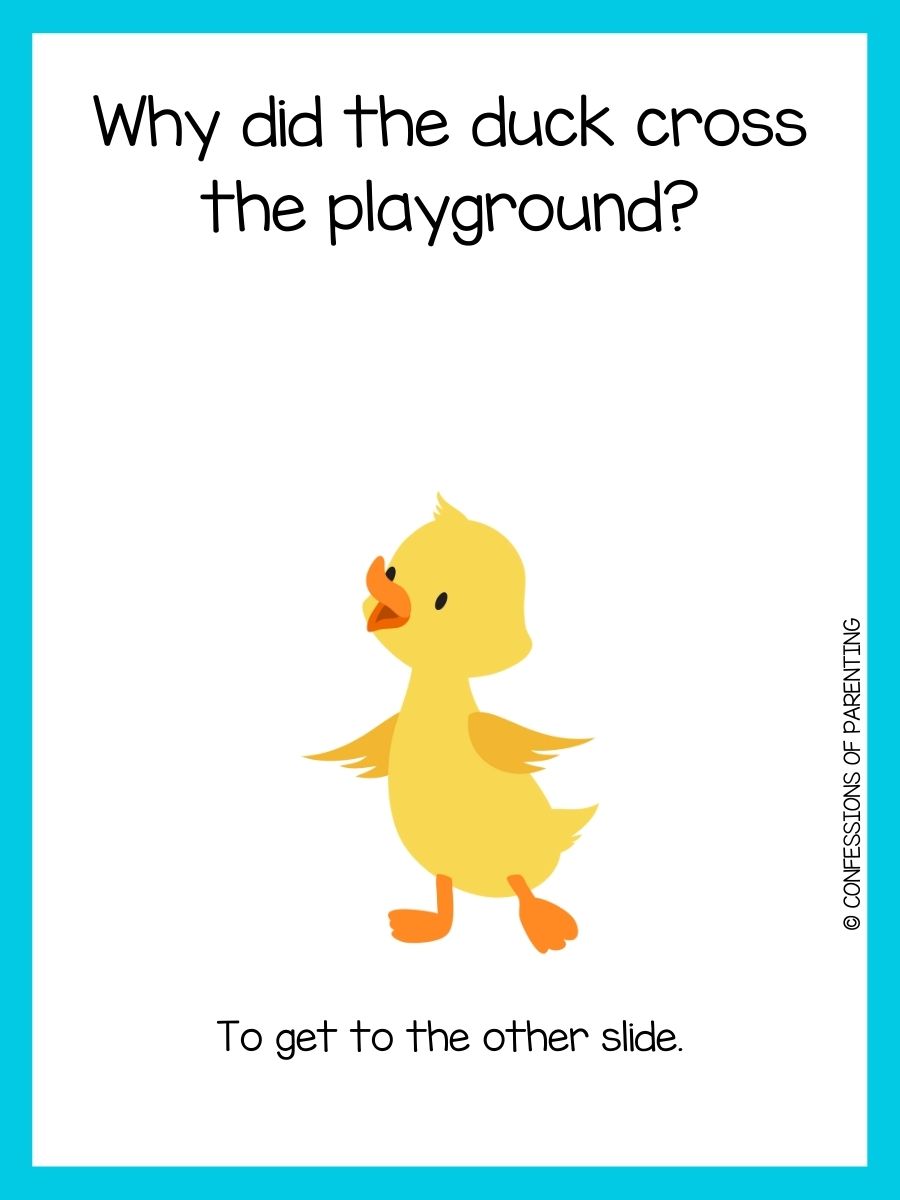 110-duck-jokes-that-make-you-quack-up
