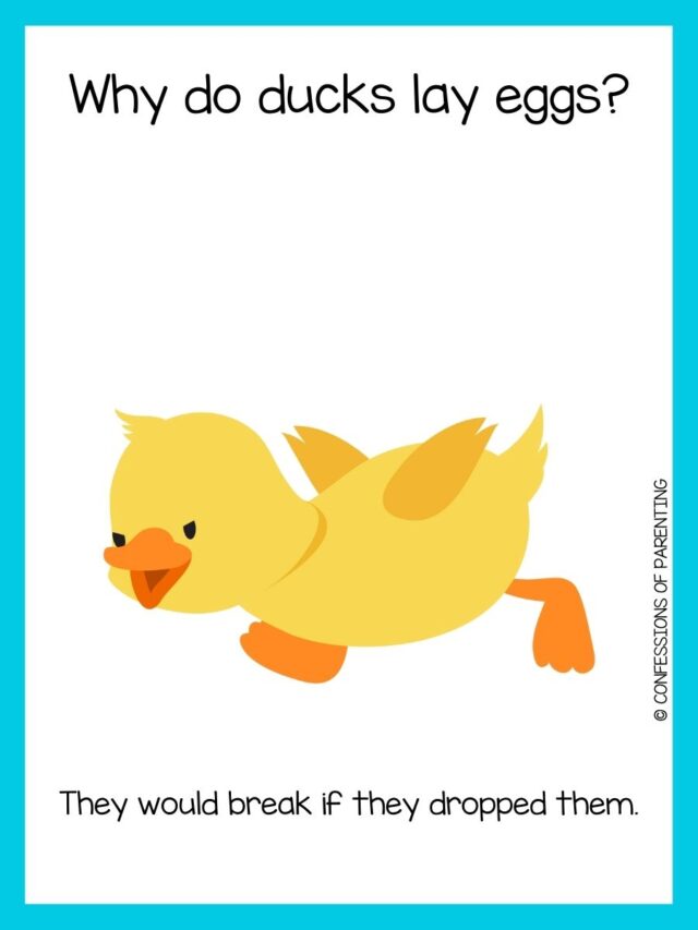 110 Duck Jokes That Make You Quack Up!