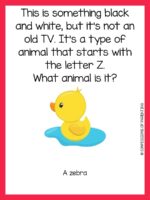 200 Best Animal Riddles That Will Leave You Laughing