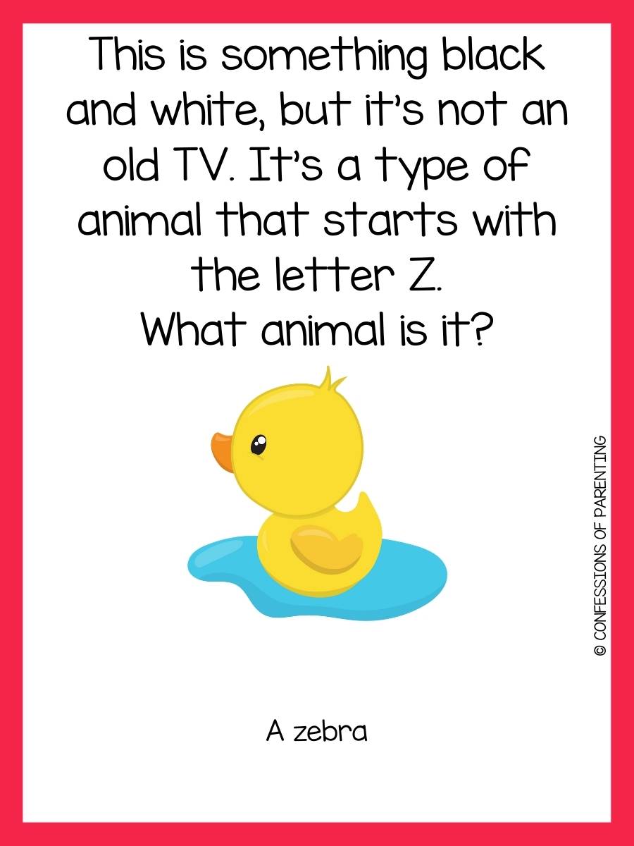 200 Best Animal Riddles That Will Leave You Laughing