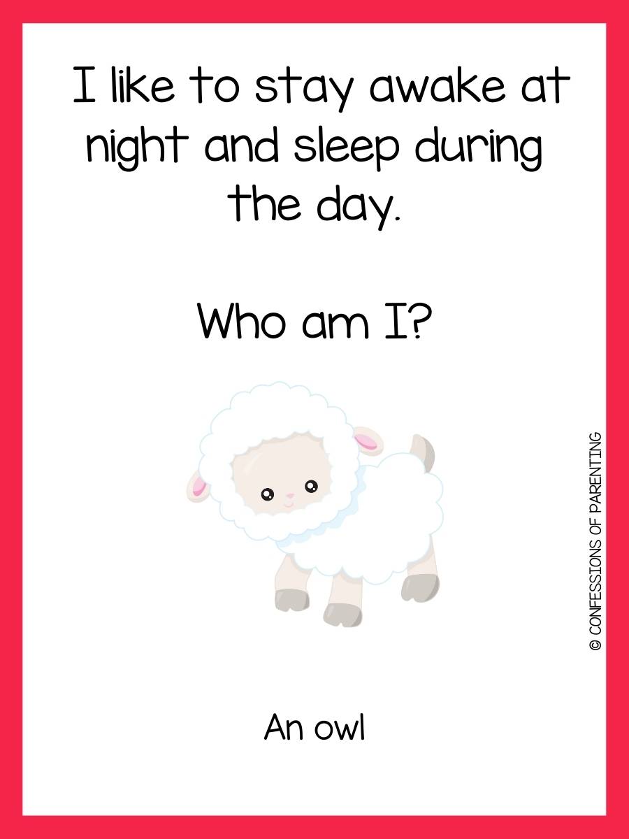 200 Best Animal Riddles That Will Leave You Laughing