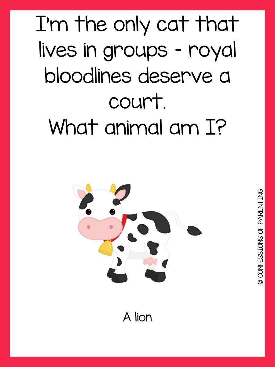 200 Best Animal Riddles That Will Leave You Laughing