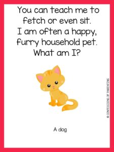200 Best Animal Riddles That Will Leave You Laughing