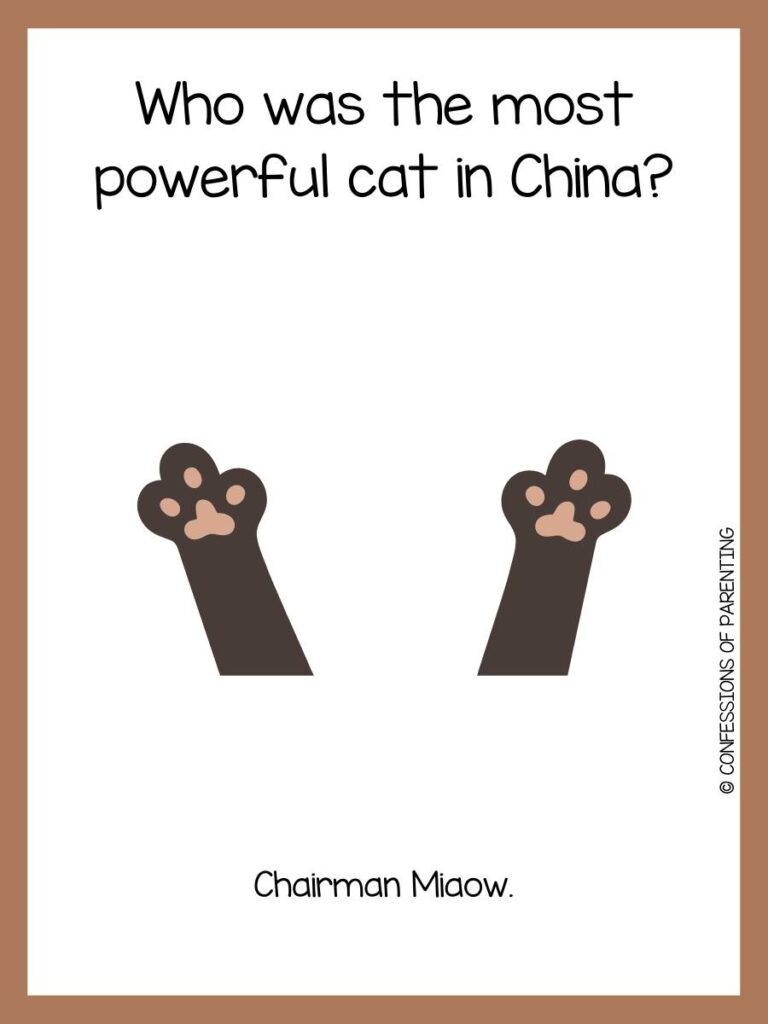 cat paws on white background with brown border