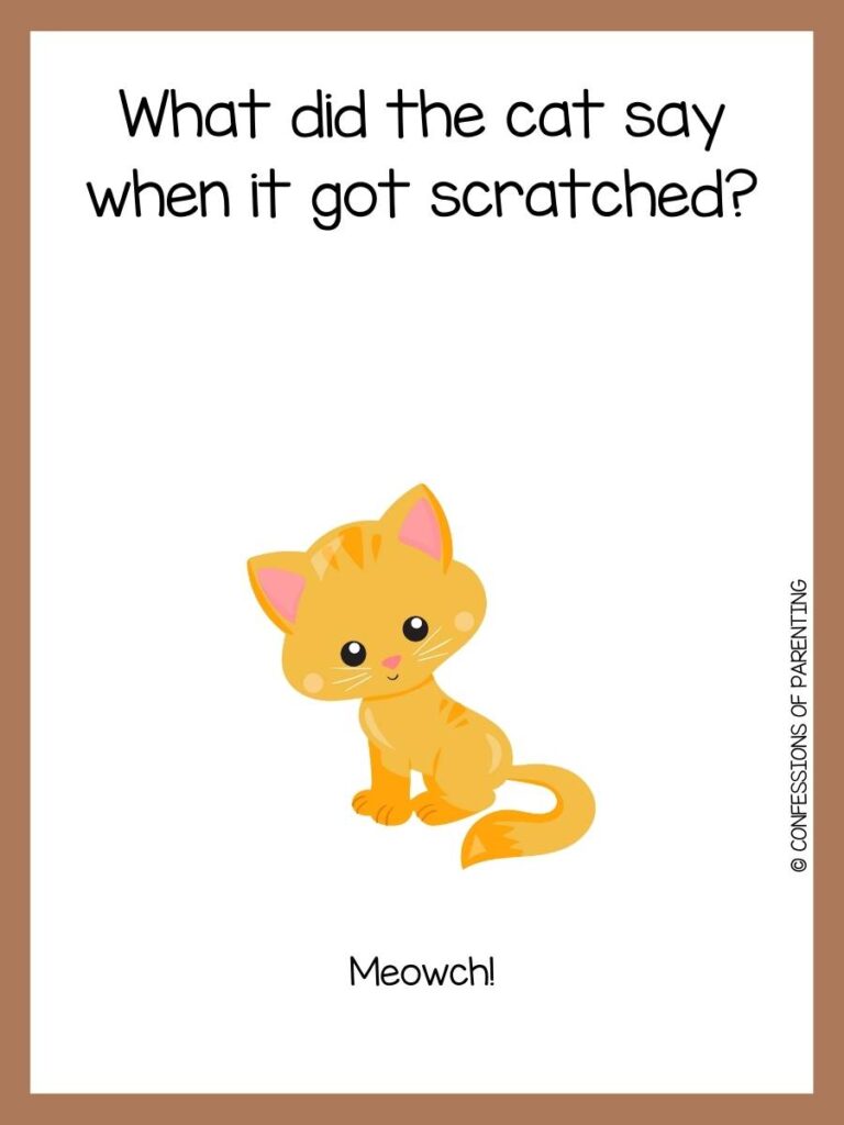 yellow cat on white background with brown border