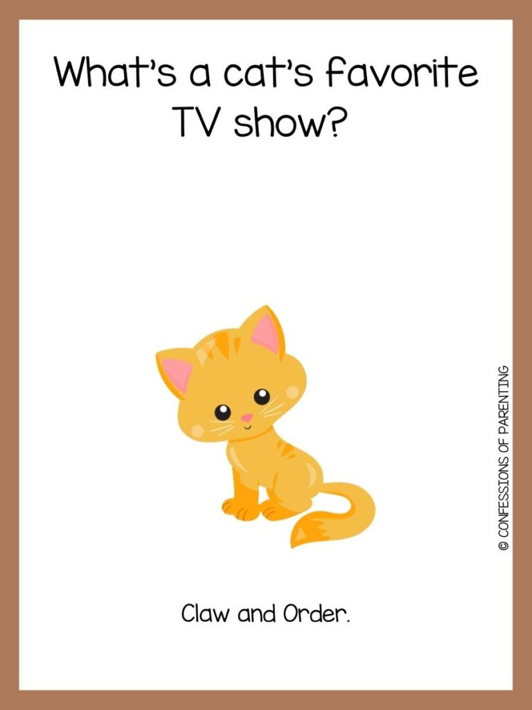 yellow cat on white background with brown border