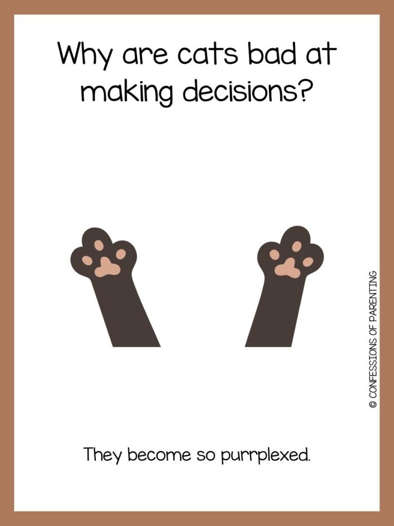 cat paws on white background with brown border
