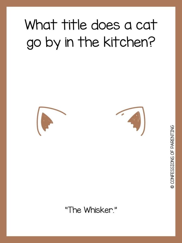 cat ears on white background with brown border