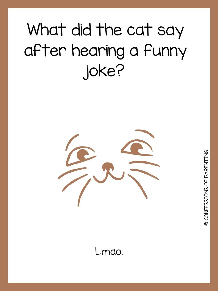 120 Purrfect Cat Jokes That Make You MeOWWW!