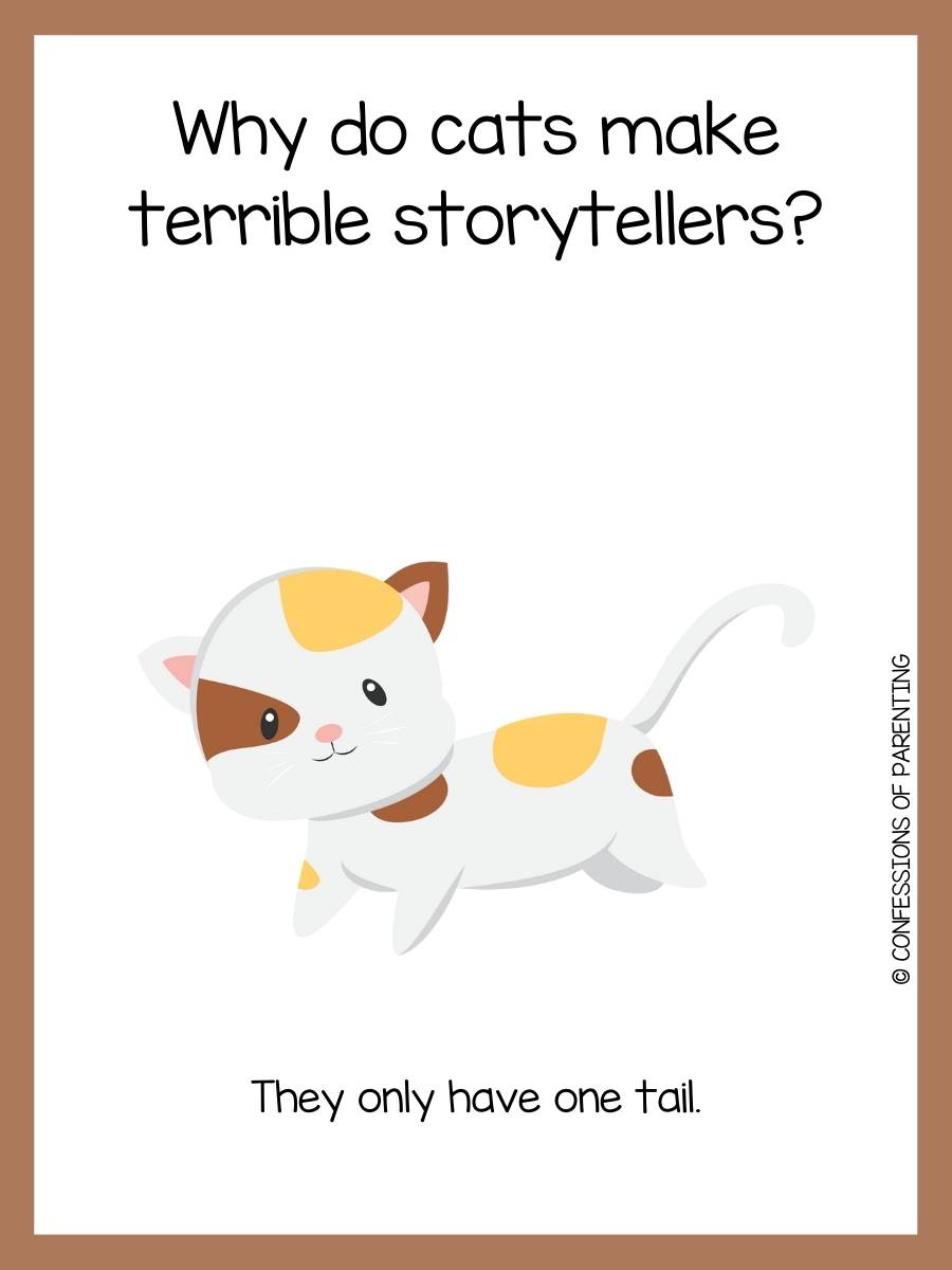 120 Purrfect Cat Jokes That Make You MeOWWW!