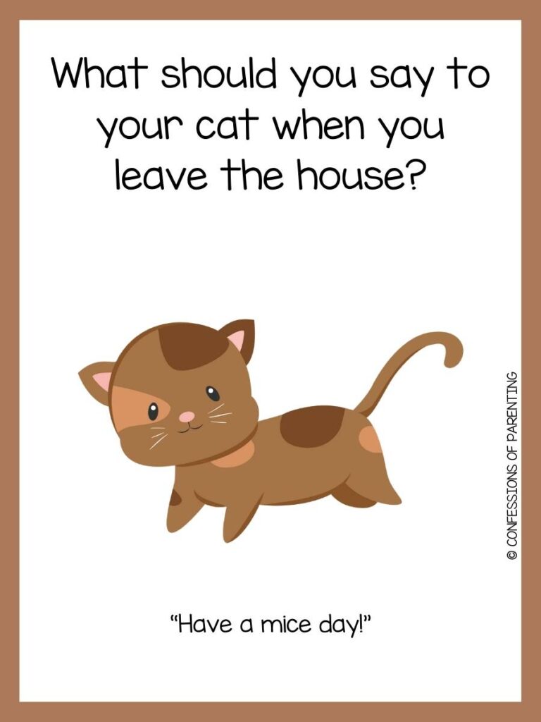 brown cat on white background with brown border