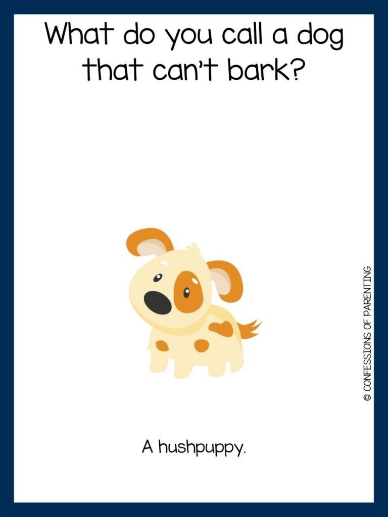 yellow dog on white background with blue border with dog joke and answer