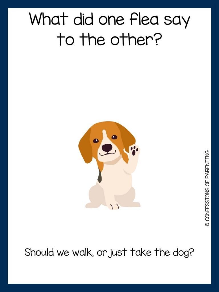 brown and tan dog on white background with blue border with dog joke and answer
