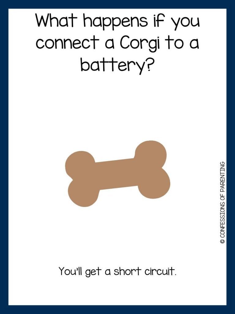 brown bone on white background with blue border with dog joke and answer