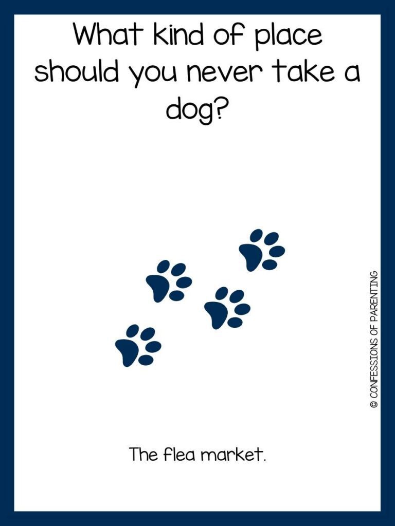 four blue paw prints on white  background with blue border with dog joke and answer