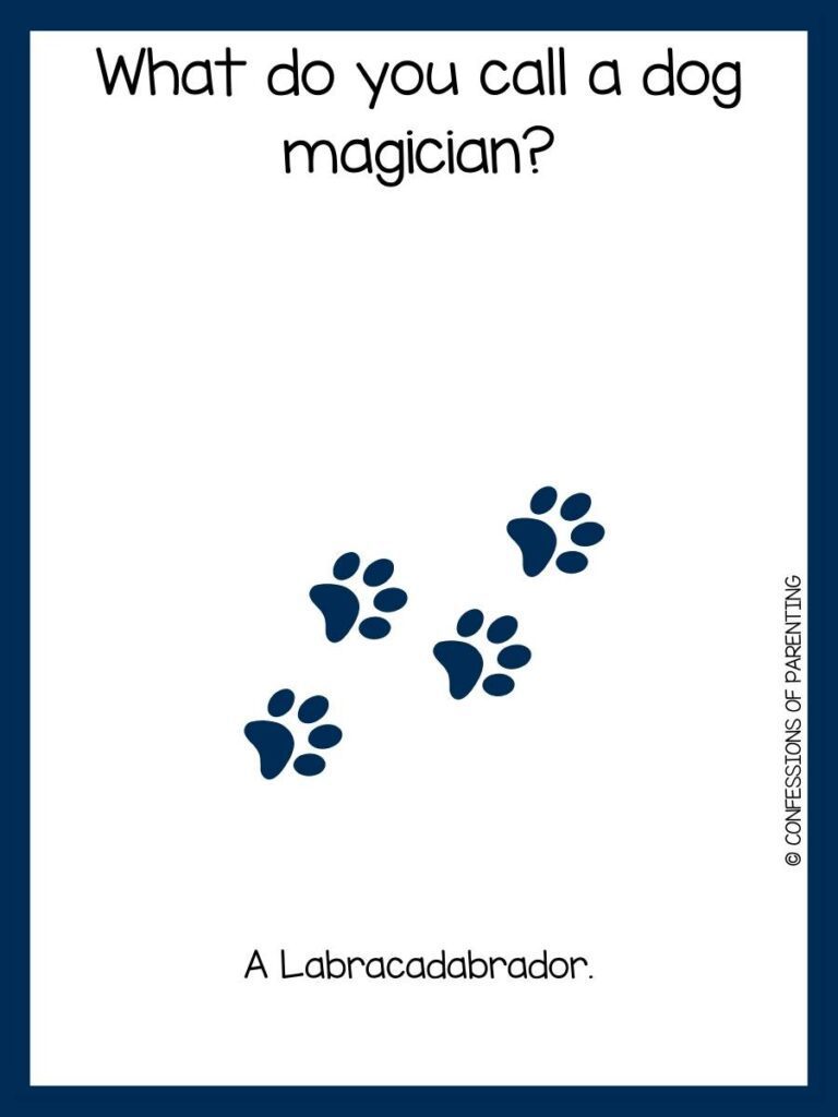 four paw prints on white background with blue border with dog joke and answer