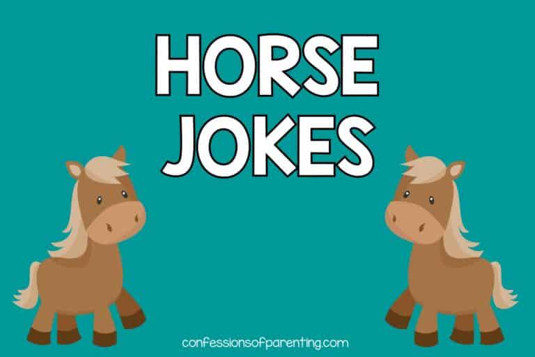 110 The Funniest Horse Jokes That Make You Giddy Up and Giggle