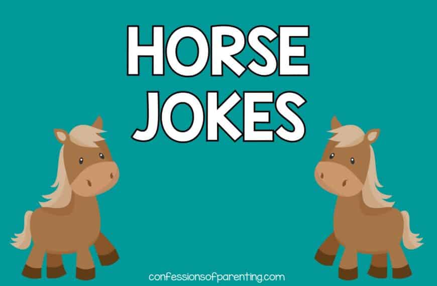 110 The Funniest Horse Jokes That Make You Giddy Up and Giggle