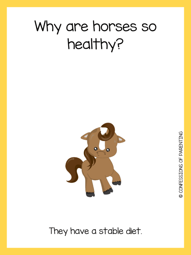 110 The Funniest Horse Jokes That Make You Giddy Up and Giggle [Free
