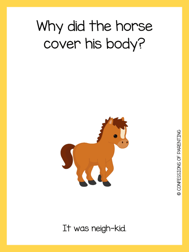 110 The Funniest Horse Jokes That Make You Giddy Up and Giggle