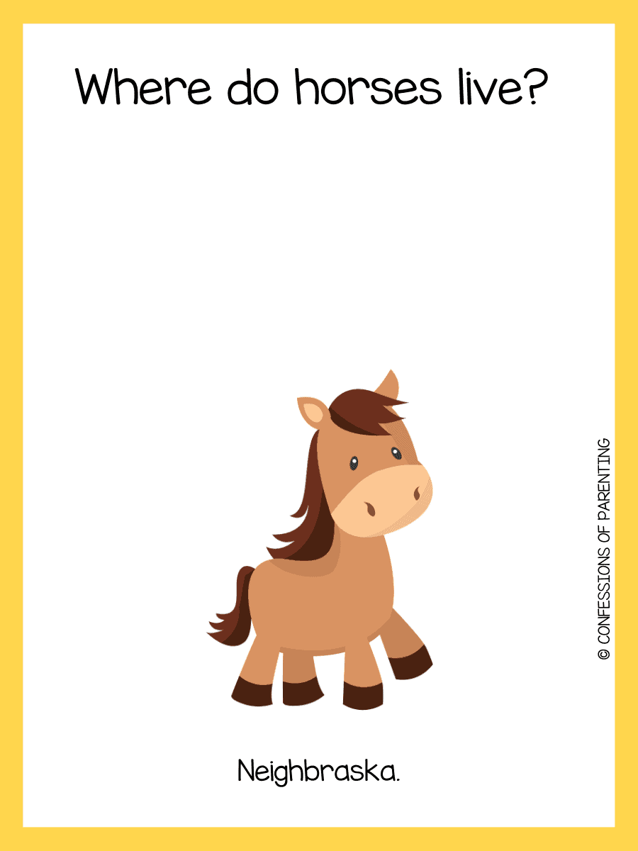 110 The Funniest Horse Jokes That Make You Giddy Up and Giggle