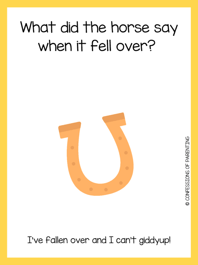 110 The Funniest Horse Jokes That Make You Giddy Up and Giggle