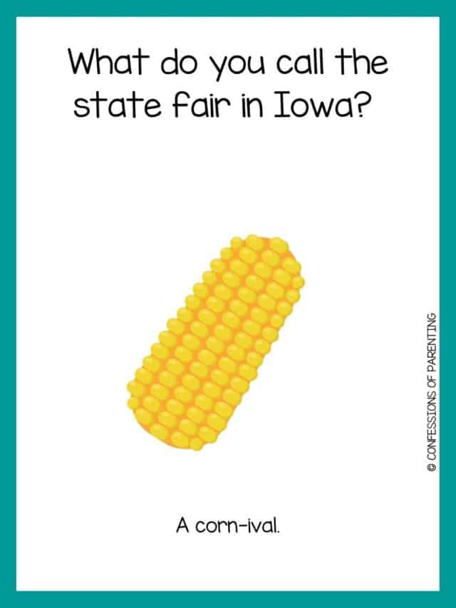 105 Best Corn Jokes That Will Have You Popping with Laughter