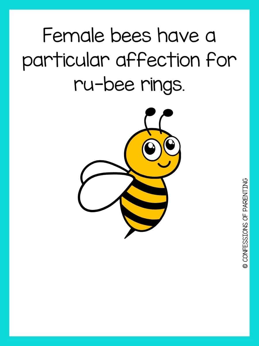 110 Best Bee Jokes That Will Get You Buzzing With Laughter [Free Joke