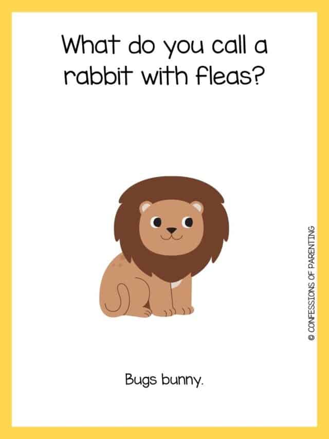 180 Funny Animal Jokes For Kids That Will Make You LOL