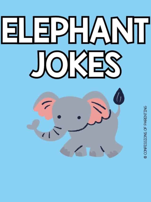 115 Funny Elephant Jokes That Make You LOL