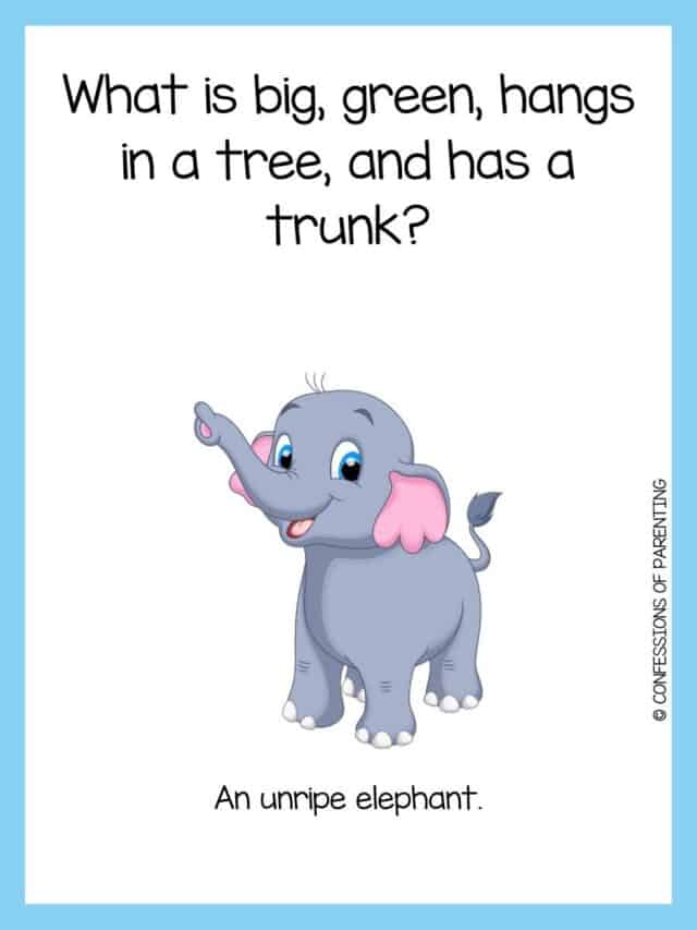 115 Funny Elephant Jokes That Make You LOL