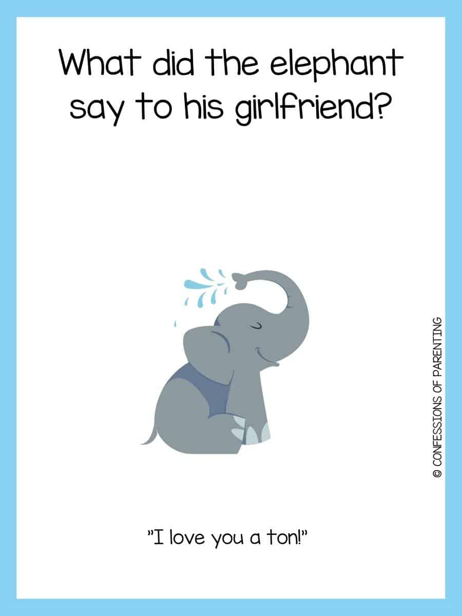 115 Funny Elephant Jokes That Make You LOL