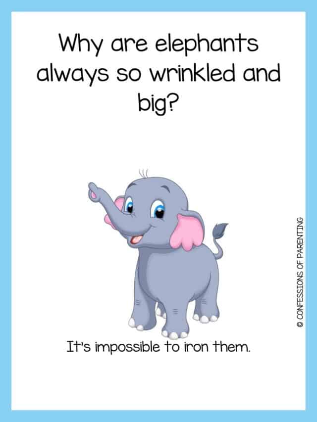 115 Funny Elephant Jokes That Make You LOL