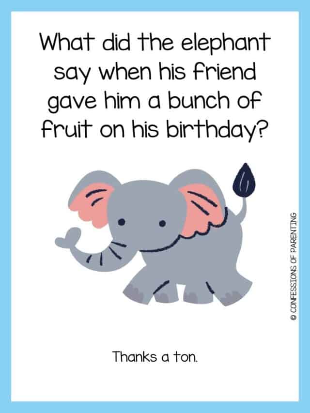 115 Funny Elephant Jokes That Make You LOL