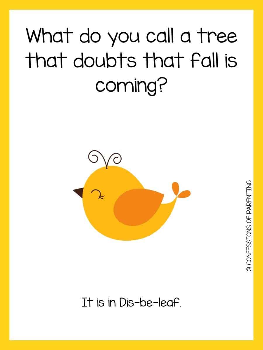 85 Challening Fall Riddles To Celebrate the Season