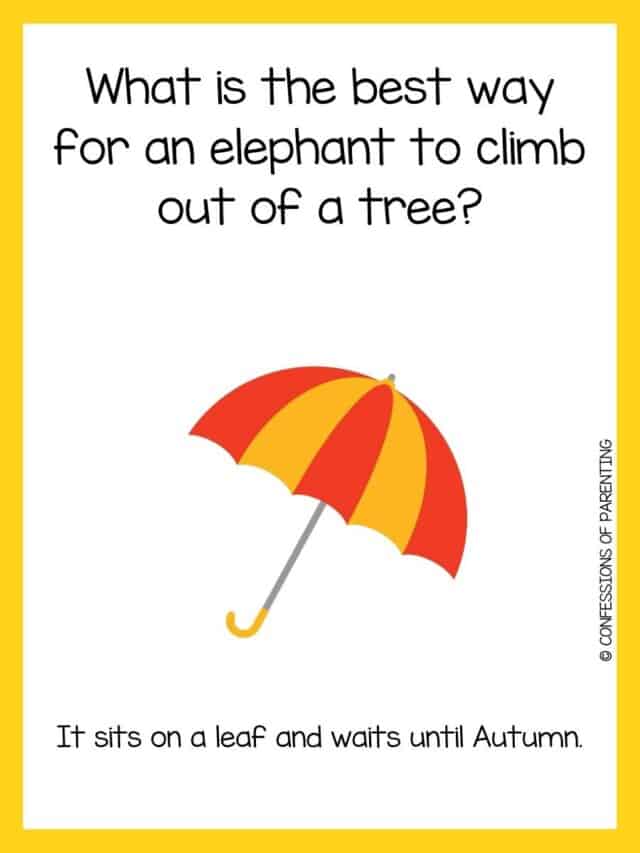 Best Fall Riddles for Kids & Families (With Answers)