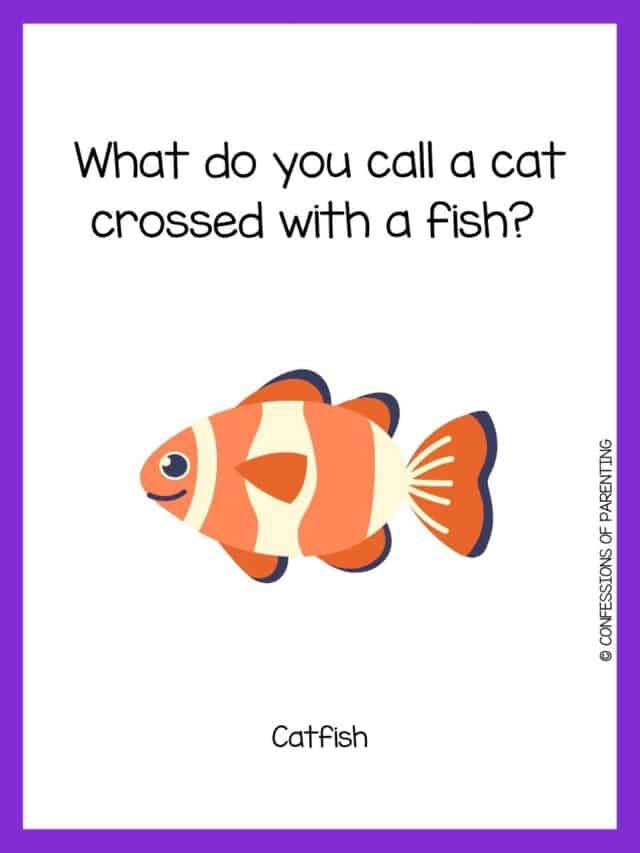 110 Best Fish Riddles That Will Reel You In [Free Riddle Cards]