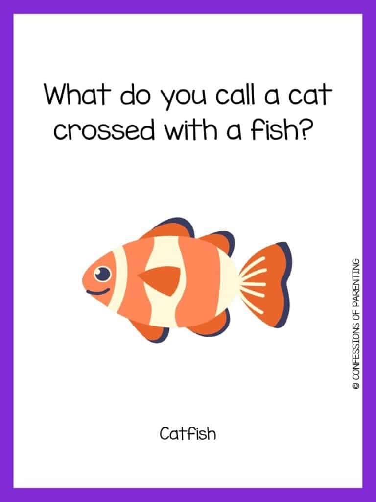 Smiling orange fish with white stripes with purple border and fish riddle for kids.