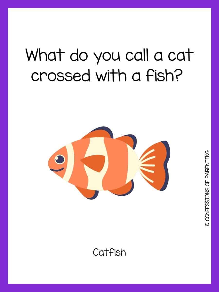 110 Best Fish Riddles That Will Reel You In [Free Riddle Cards]