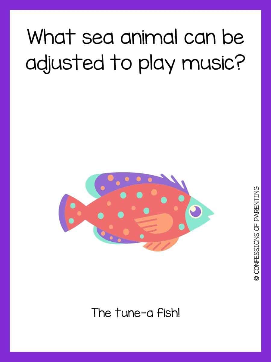 110 Best Fish Riddles That Will Reel You In